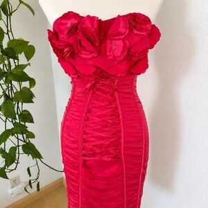 Bebe Women's Red and Pink Dress